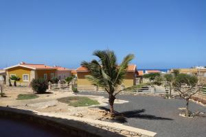 a palm tree in front of a house at Appartamento BICA. Stella Maris Exclusive in Calheta Do Maio