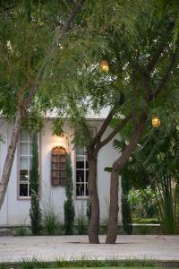 Zahrada ubytování Naila Kothi - A Luxury Boutique Royal Suites in Jaipur