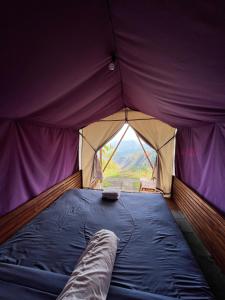 a tent with a bed in it with a view at Bali Sunrise Camp & Glamping in Kintamani