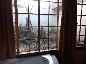 d'une fenêtre avec une baignoire donnant sur un jardin. dans l'établissement African Silhouette Guesthouse, à Benoni