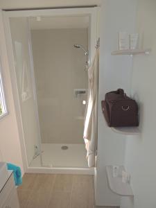 ein Bad mit einer Dusche und einer Glastür in der Unterkunft Chez Loulou et Belette MH048 in Litteau