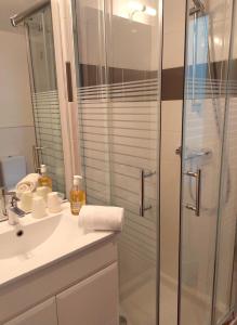 a bathroom with a glass shower and a sink at LA MAISON BARNOIN - gîtes et chambres in Bouyon
