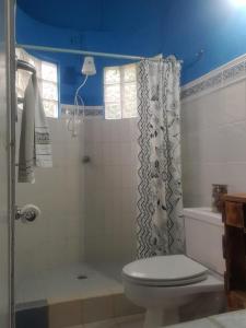 W łazience znajduje się prysznic, toaleta i umywalka. w obiekcie Los Tucanes w mieście Los Altos de Cerro Azul