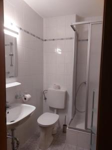 een badkamer met een toilet, een douche en een wastafel bij Haus Muigg in Innsbruck