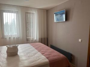 a bedroom with a bed and a television on the wall at Grand resort luxury apartment in Pamporovo
