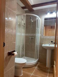 a bathroom with a shower and a toilet and a sink at Casa Rural Salinas de Armalla in Arias