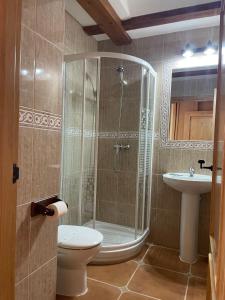 a bathroom with a shower and a toilet and a sink at Casa Rural Salinas de Armalla in Arias +54 photos
