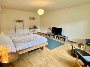 1 dormitorio con 1 cama y TV de pantalla plana en Gemütliche Wohnung Nähe Uni en Basilea