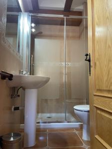 a bathroom with a shower and a sink and a toilet at Casa Rural Salinas de Armalla in Arias