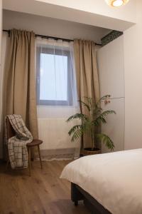 a bedroom with a bed and a plant and a window at Scandinavian for you in Bacău