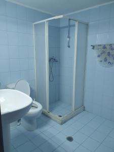 a bathroom with a shower and a toilet and a sink at Haus Regina in Khrónia