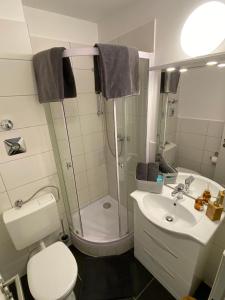 y baño con ducha, aseo y lavamanos. en Apartment Kompakt 24/7, en Kassel