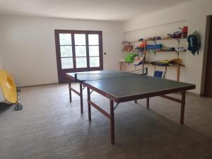 a ping pong table in the middle of a room at Haus Regina in Khrónia