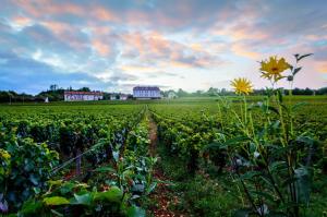 Zahrada ubytování Gites Chateau Comblanchien