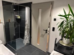 a bathroom with a shower and a plant in it at Marleens Ferienwohnung in Schwerin in Schwerin