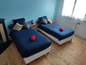 Duas camas num quarto com almofadas vermelhas em La Saint Quentinoise (avec cour) em Saint-Quentin
