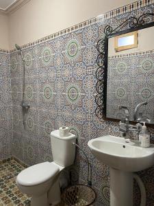 瓦爾扎扎特的住宿－Bivouac Lot Of Stars，一间带卫生间和水槽的浴室
