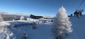 Kirschbaum Apartment að vetri til