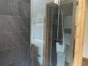 Ένα μπάνιο στο Chalet des glaciers +13 φωτογραφίες