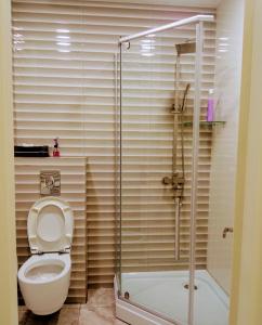 トビリシにあるTea's homeのトイレとガラスのシャワー付きのバスルーム