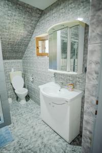 łazienka z umywalką i toaletą w obiekcie Biertan 48 Guesthouse w mieście Biertan