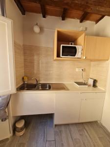 uma pequena cozinha com um lavatório e um micro-ondas em Soggiorno dell Agnolo em Florença