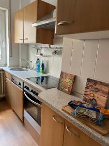 una cocina con fregadero y encimera en Living Lu - cosy Apartment two - Netflix - Mannheim - BASF - 2 Zimmer, en Ludwigshafen am Rhein