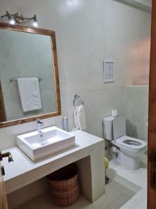 a bathroom with a sink and a toilet at The Landing Nanyuki Cottages in Nanyuki