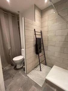uma casa de banho com um WC e uma cabina de duche. em L'appartement charmant em Beynost