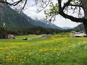 a field of yellow flowers in a field with mountains at Maison Constance in Bionaz