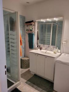 ein Bad mit einer Dusche, einem Waschbecken und einem Spiegel in der Unterkunft Maisonette moderne T2 65 m2 -Eyragues in Eyragues