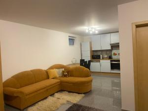 a living room with a brown couch and a kitchen at Ferienwohnung Patrick in Amberg