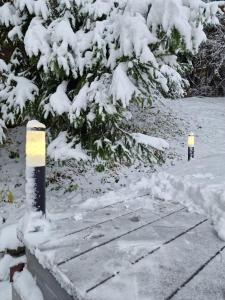 a snow covered tree with a light on a sidewalk at Walthouse in Vulcan