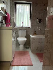 La salle de bains est pourvue de toilettes, d'un lavabo et d'une fenêtre. dans l'établissement Zelena Oaza Krupanj, à Krupanj