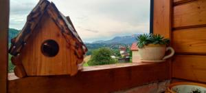 a window with a birdhouse and a plant on a ledge at Vikendica-Brvnara Pine in Pale +5 photos