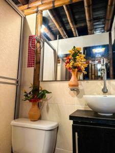 een badkamer met twee vazen op een toilet en een wastafel bij Villa tikuna in Mariquita