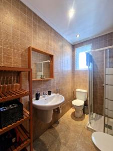 une salle de bain avec un lavabo et des toilettes dans l'établissement Apartamento Polvora, junto al Puente Romano, à Cordoue