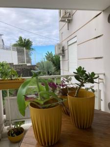 3 vasi gialli con piante sedute su un balcone di Ananas appart a Saint-Denis