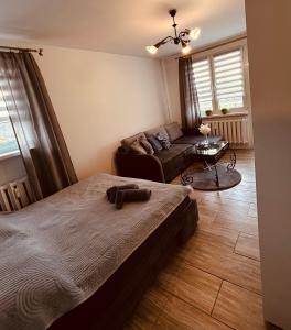 sypialnia z łóżkiem i kanapą w obiekcie New Classic 30m. w mieście Piła