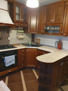 cocina con armarios de madera, fregadero y fogones en Apartament Daria, en Jaworzno