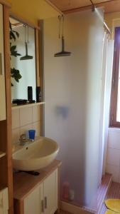 ein Badezimmer mit einem weißen Waschbecken und einem Spiegel in der Unterkunft Belle ILE in Lychen