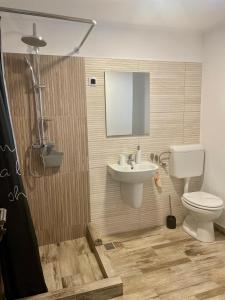 a bathroom with a toilet and a sink at La Turcu in Văliug