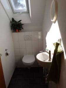 a small bathroom with a toilet and a sink at FeWo Christine in Bad Buchau