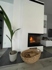 un salon avec une plante et une cheminée dans l'établissement Stošice Residence, à Liptovský Mikuláš