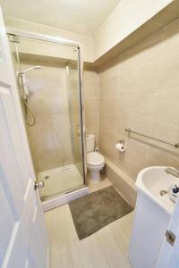 a bathroom with a shower and a toilet and a sink at Cosy Studio - Private Entrance Bishop’s Stortford in Bishops Stortford