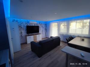 un soggiorno con divano e TV a schermo piatto di Apartment Feldkirch a Feldkirch