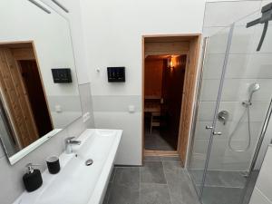 a bathroom with a sink and a shower at Ferienhaus Auszeit mit Sauna in Schwarz