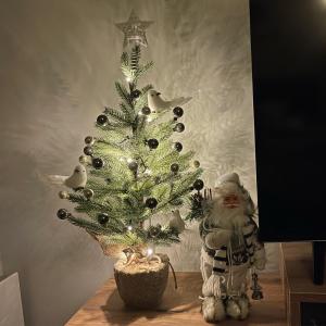 una cláusula Santa al lado de un árbol de Navidad en Apartman Aleni - Bela Reka, Brzeće en Brzeće