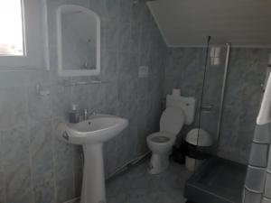 Gallery image of Pensiunea Vasilescu in Horezu