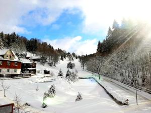 una pista sciistica coperta da neve con una casa e alberi di Gemütliches Apartment am Gottesberg a Muldenhammer